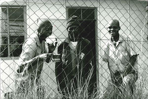 Chronique Sud-africaines
