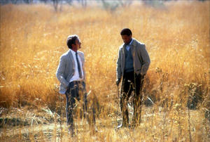 Cry freedom
