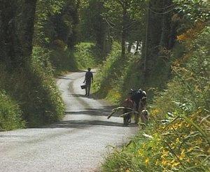 Les chemins de TrÃÂÃÂÃÂÃÂ©margat (27e FDZ)